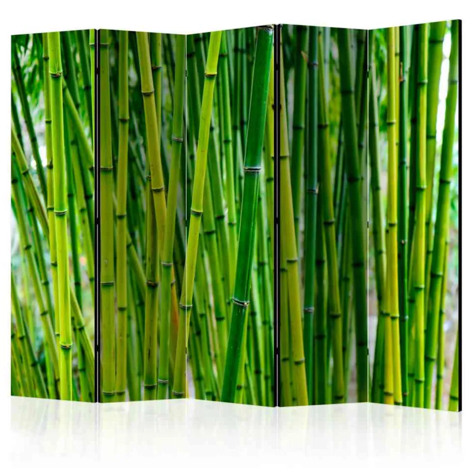 Paravents|Raumteiler*Pharao24 Paravent Branle