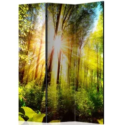 Pharao24 Paravent Raumteiler Florian><noscript><img width=