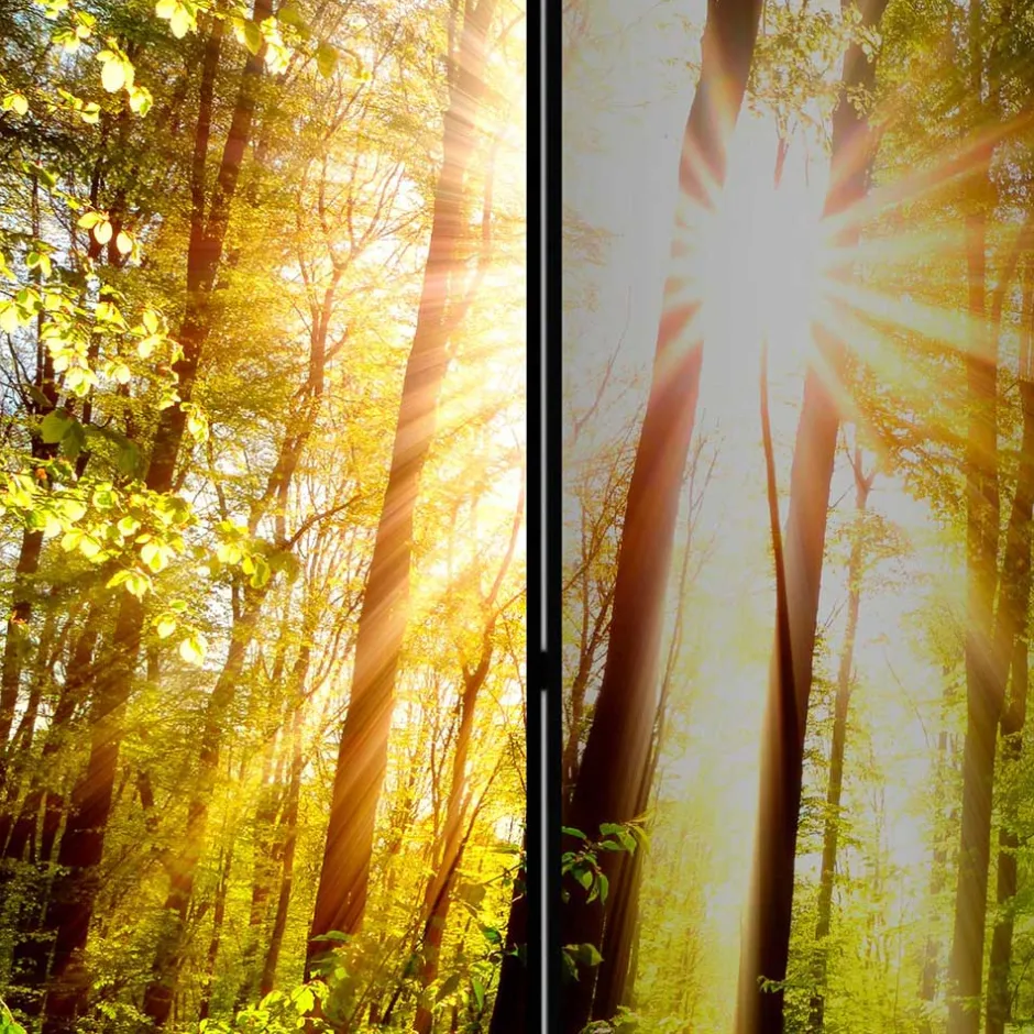 Pharao24 Paravent Raumteiler Florian> Paravents|Raumteiler