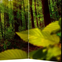 Pharao24 Paravent Raumteiler Florian><noscript><img width=