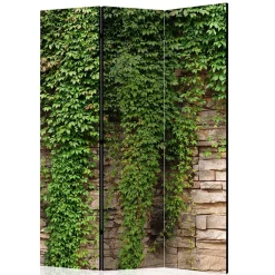 Paravents|Raumteiler*Pharao24 Paravent Trennwand Elegatos