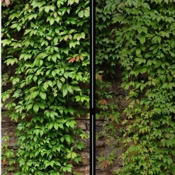 Paravents|Raumteiler*Pharao24 Paravent Trennwand Elegatos