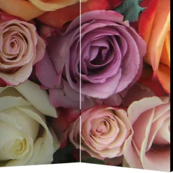 Pharao24 Paravent Umkleide Intiatos><noscript><img width=