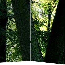 Raumteiler|Paravents*Pharao24 Paravent Wald Samsia