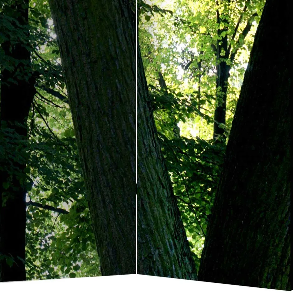 Raumteiler|Paravents*Pharao24 Paravent Wald Samsia