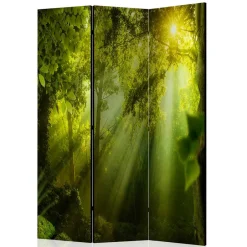 Paravents|Raumteiler*Pharao24 Paravent Waldmotiv Ramia