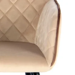 Pharao24 Polsterstuhl Chepter><noscript><img width=