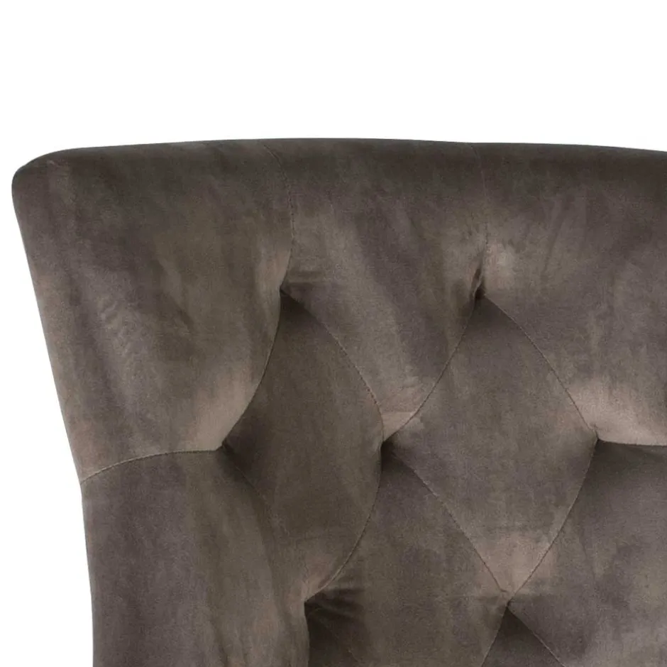 Pharao24 Polsterstuhl Cocondar> Küchenstühle|Esszimmerstühle