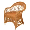 Wohnzimmer Sessel*Pharao24 Rattansessel Honigfarben Swington