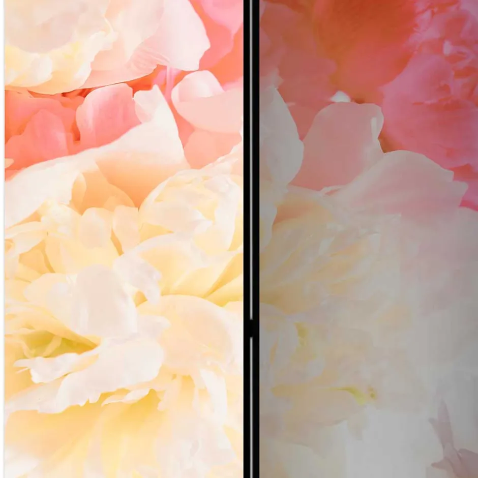 Paravents|Raumteiler*Pharao24 Raum Trennwand Indicio