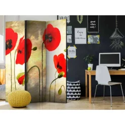 Raumteiler|Paravents*Pharao24 Raumteiler Paravent Kezmina