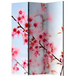 Raumteiler|Paravents*Pharao24 Raumteiler Vilado