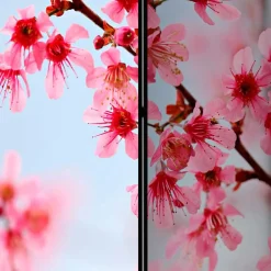 Raumteiler|Paravents*Pharao24 Raumteiler Vilado