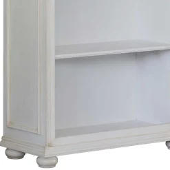 Regalschränke|Bücherregale*Pharao24 Regal Orleans