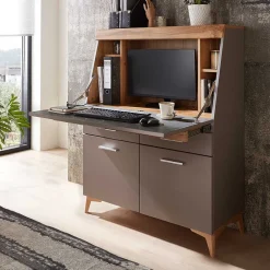 Highboards|Highboards*Pharao24 Schreibsekretär Abelle