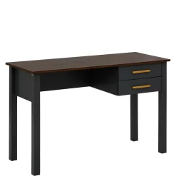 Pharao24 Schreibtisch Lysiena> Computertische|Jugendschreibtische