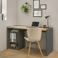 Schreibtische*Pharao24 Schreibtisch mit Regal Uzniana