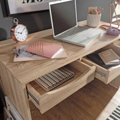 Schreibtische|Computertische*Pharao24 Schreibtisch mit Schubladen Nicuda