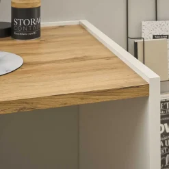 Büromöbel Sets*Pharao24 Schreibtisch mit Wandboard Rascian