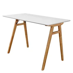 Schreibtische*Pharao24 Schreibtisch Sharky