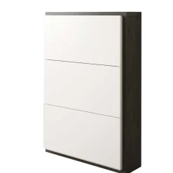 Schuhschränke|Schuhkipper*Pharao24 Schuh Klappenschrank Feixon