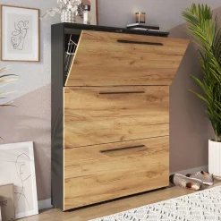 Schuhkipper|Schuhschränke*Pharao24 Schuhklappenschrank Remazion