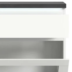 Schuhschränke|Schuhkipper*Pharao24 Schuhschrank mit Glasklappe Houstna