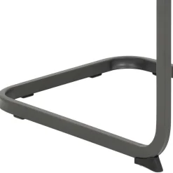 Freischwinger*Pharao24 Schwingstuhl Set Mona