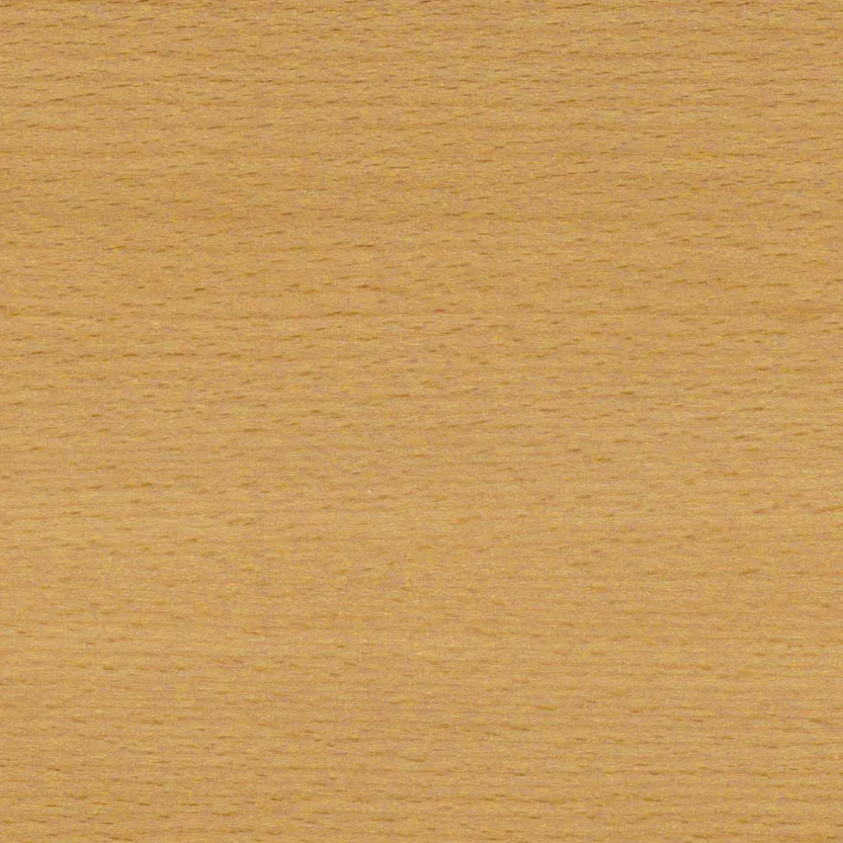 Sekretäre*Pharao24 Sekretär Acillona