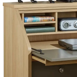 Pharao24 Sekretär Arian><noscript><img width=