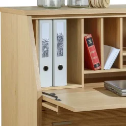 Pharao24 Sekretär Jucaras><noscript><img width=