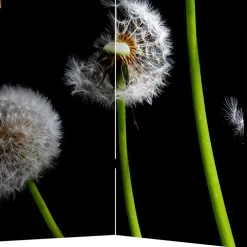 Pharao24 Sichtschutz Paravent Lutos><noscript><img width=