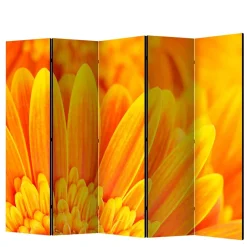 Paravents|Raumteiler*Pharao24 Sichtschutz Viraneos