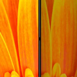 Paravents|Raumteiler*Pharao24 Sichtschutz Viraneos