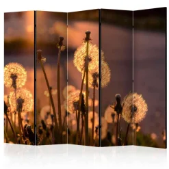 Pharao24 Spanische Wand Take> Paravents