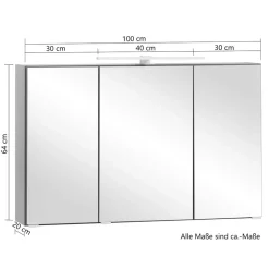 Spiegelschränke*Pharao24 Spiegelschrank Pegruan