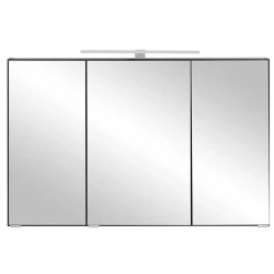 Spiegelschränke*Pharao24 Spiegelschrank Pegruan