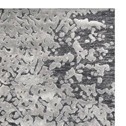 Teppiche*Pharao24 Teppich Ewarton