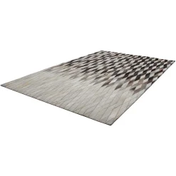 Teppiche*Pharao24 Teppich Zanyorita