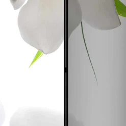 Pharao24 Trennwand Paravent Dalma><noscript><img width=