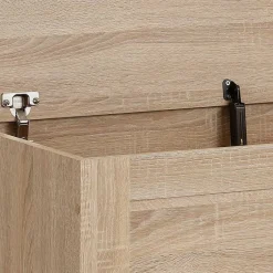 Couchtische|Truhen*Pharao24 Truhe Sarsonna