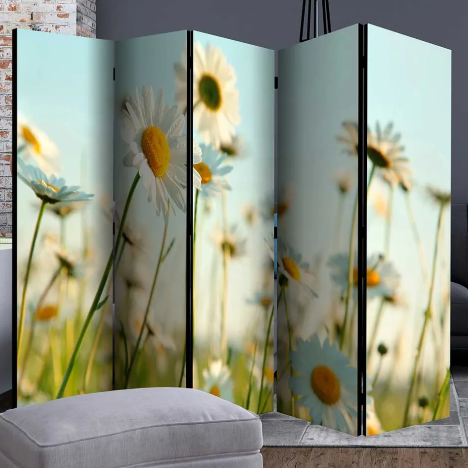 Pharao24 Umkleidewand Bergen> Paravents