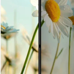 Pharao24 Umkleidewand Bergen><noscript><img width=