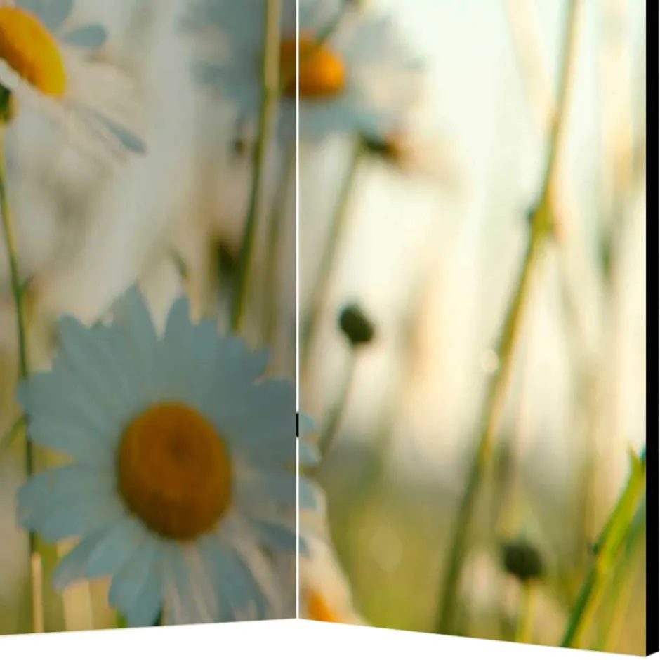 Pharao24 Umkleidewand Bergen> Paravents