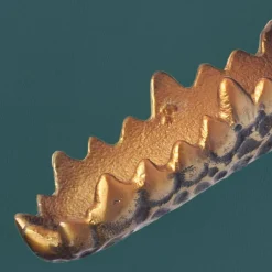 Wandbilder*Pharao24 Wanddeko Modiass