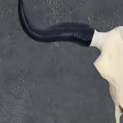 Wandbilder*Pharao24 Wanddeko Stierkopf Len