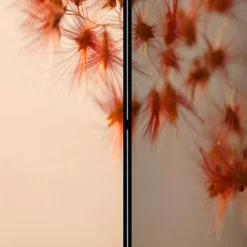 Paravents|Raumteiler*Pharao24 Wandschirm Catesko