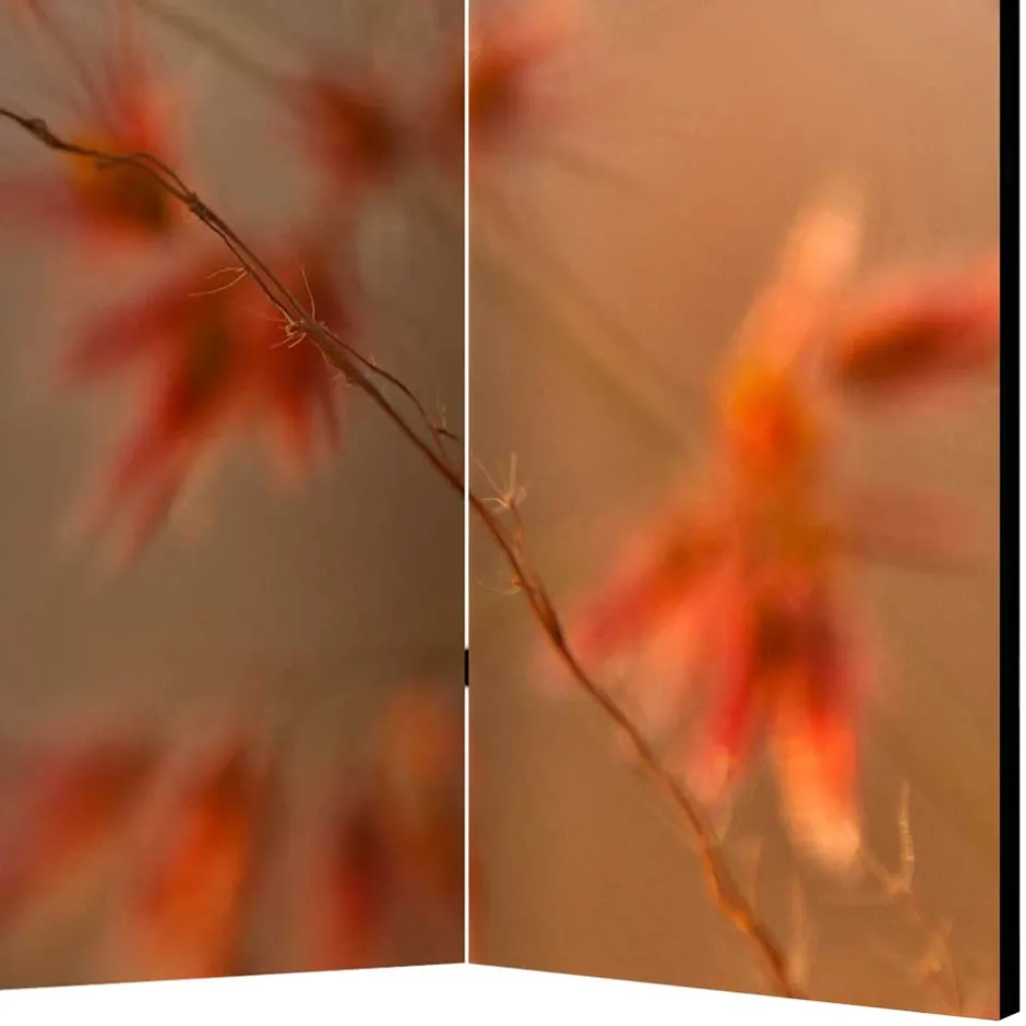 Paravents|Raumteiler*Pharao24 Wandschirm Catesko