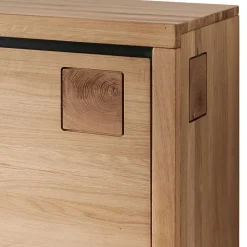 Wohnzimmerschrank|Wohnwand 350 Cm*Pharao24 Wildeiche Anbauwand Shailina