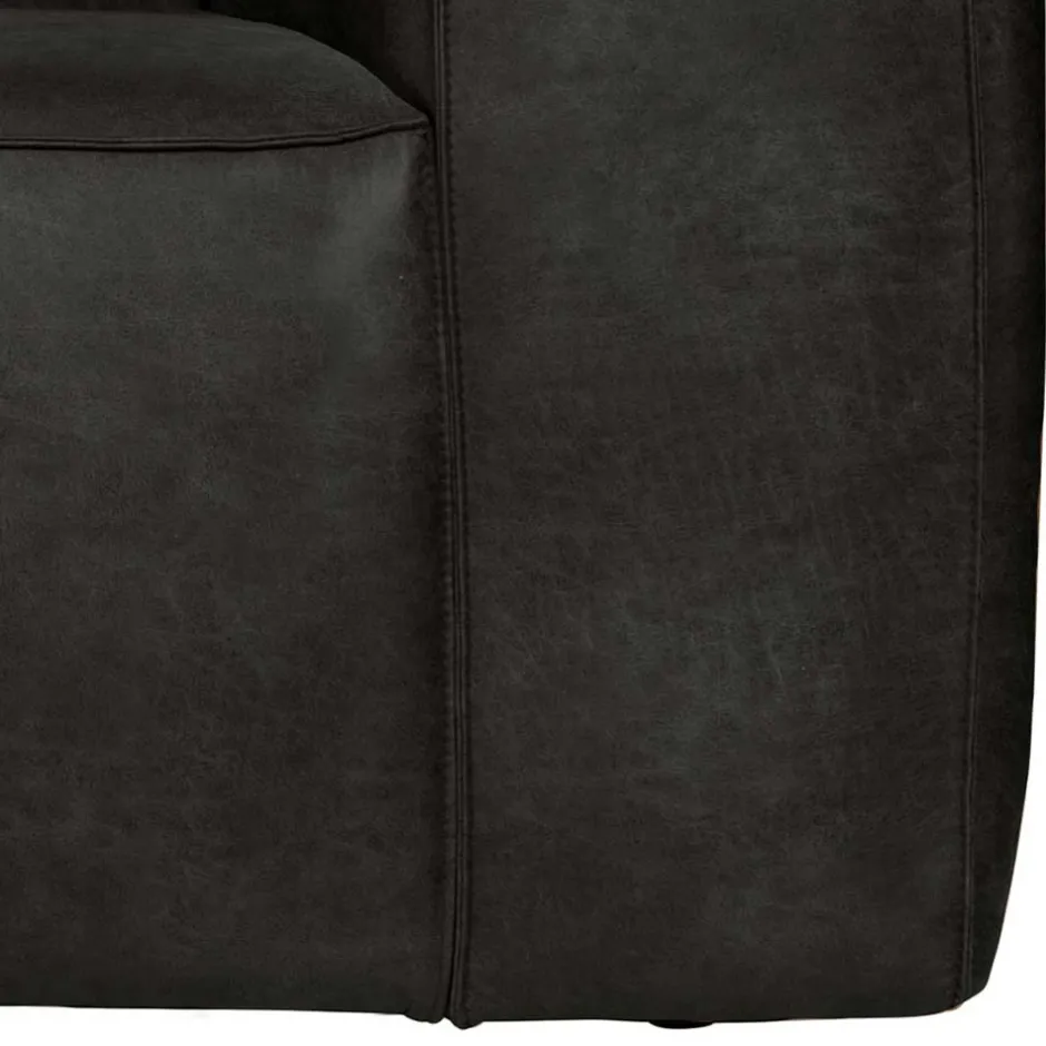 Wohnzimmer Sessel*Pharao24 Wohnzimmer Sessel Vamaica